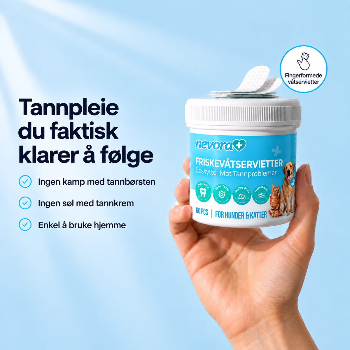 FreshWipes Plakkfjerningssett