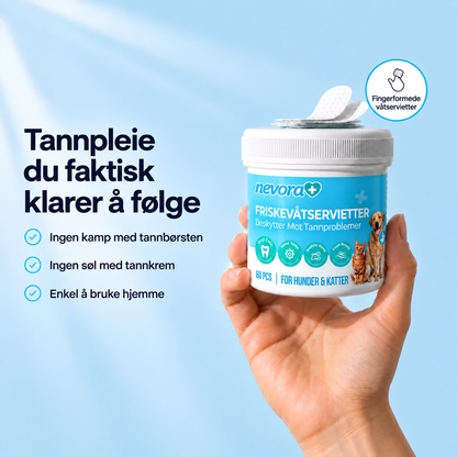 FreshWipes Plakkfjerningssett