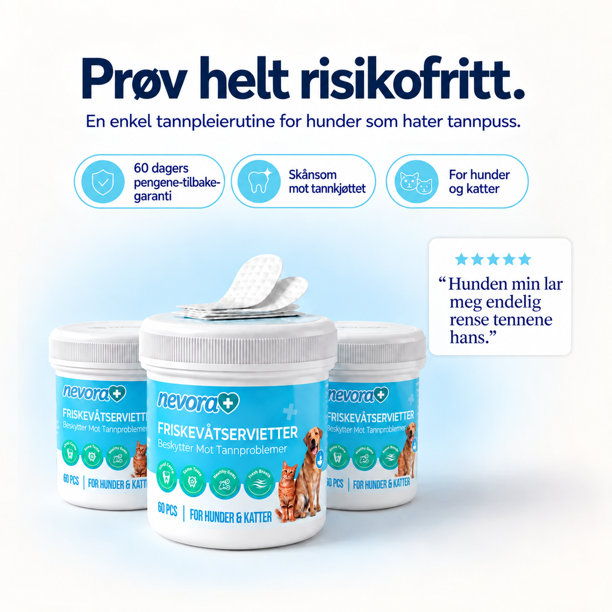 FreshWipes Plakkfjerningssett