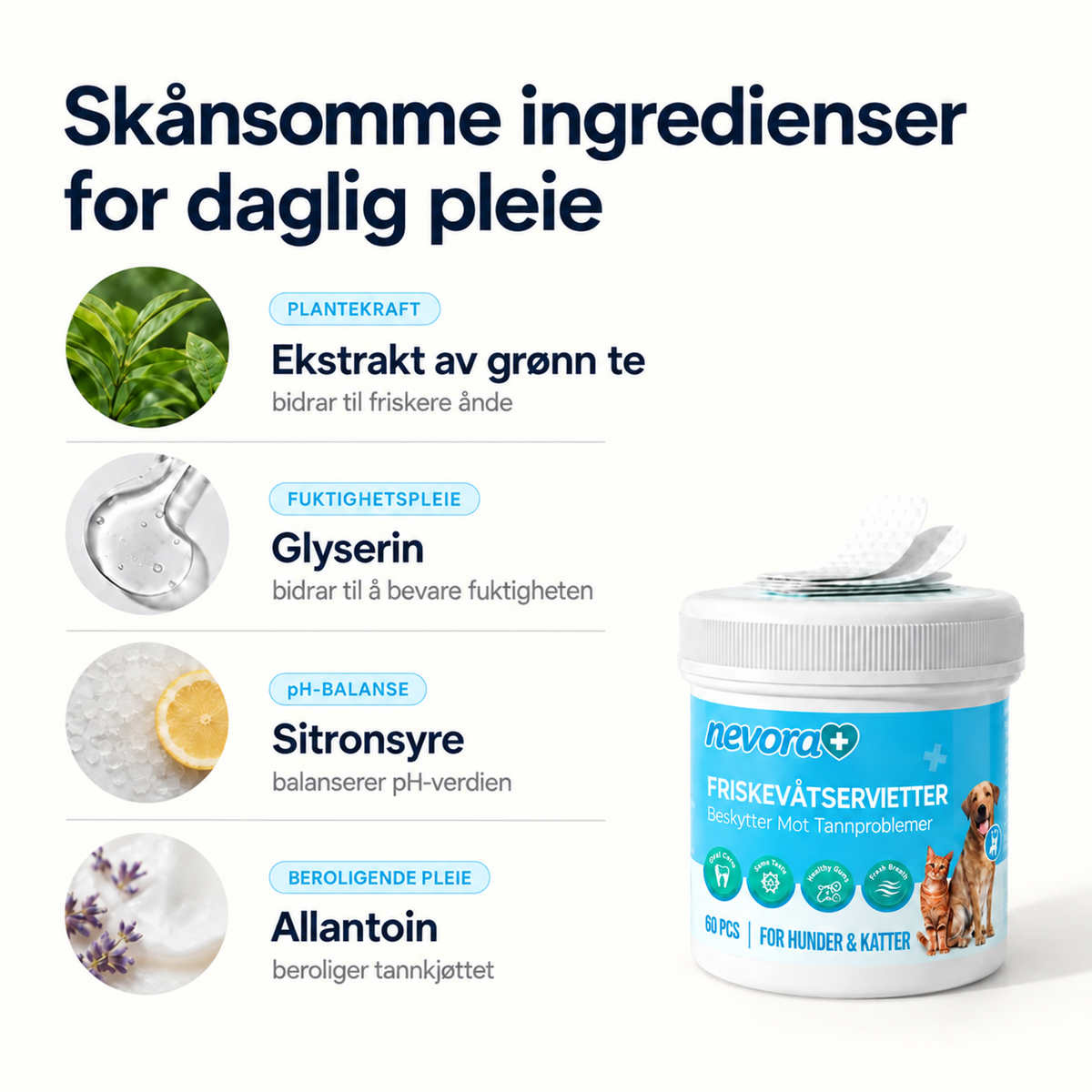 FreshWipes Plakkfjerningssett
