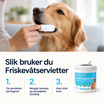 FreshWipes Plakkfjerningssett