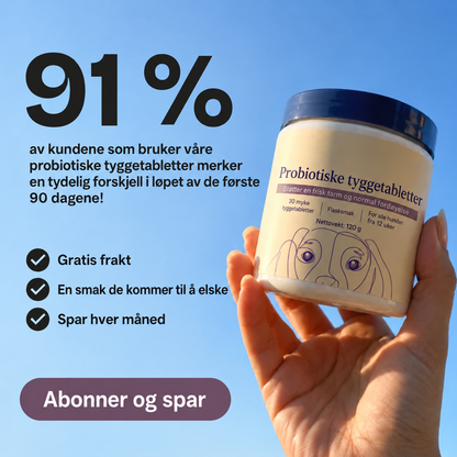 Probiotiske Tyggebiter – for tarm- og fordøyelseshelse
