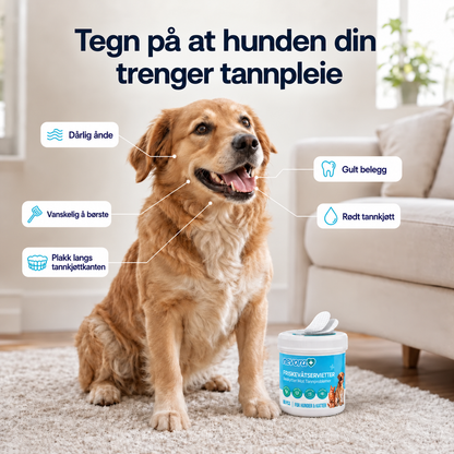 FreshWipes Plakkfjerningssett