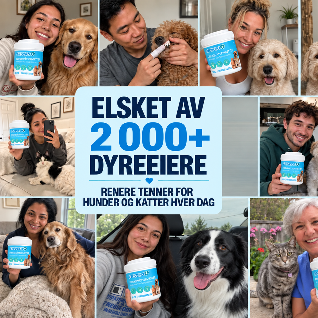 FreshWipes Plakkfjerningssett