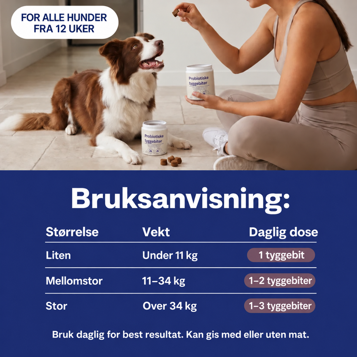 Probiotiske Tyggebiter – for tarm- og fordøyelseshelse