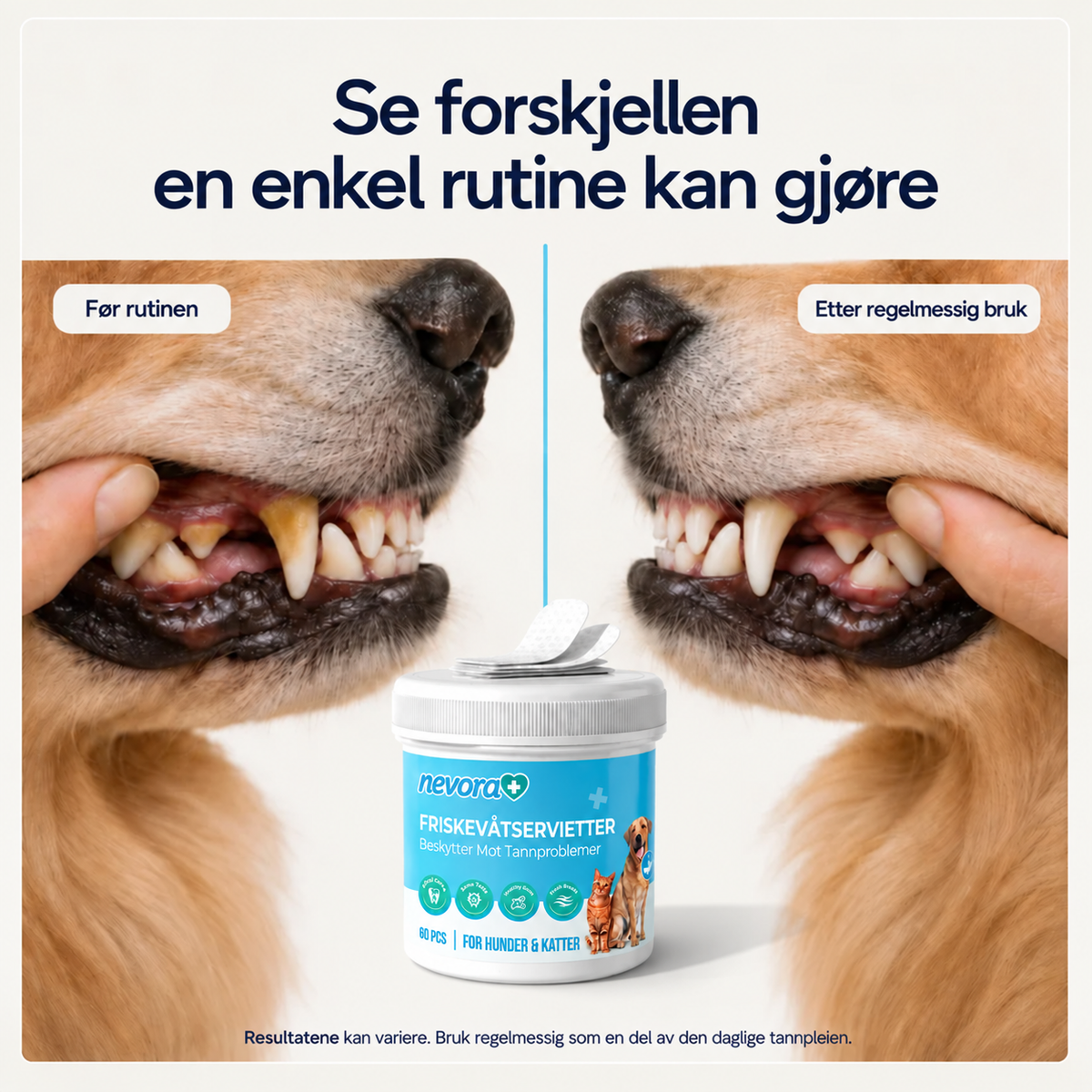 FreshWipes Plakkfjerningssett