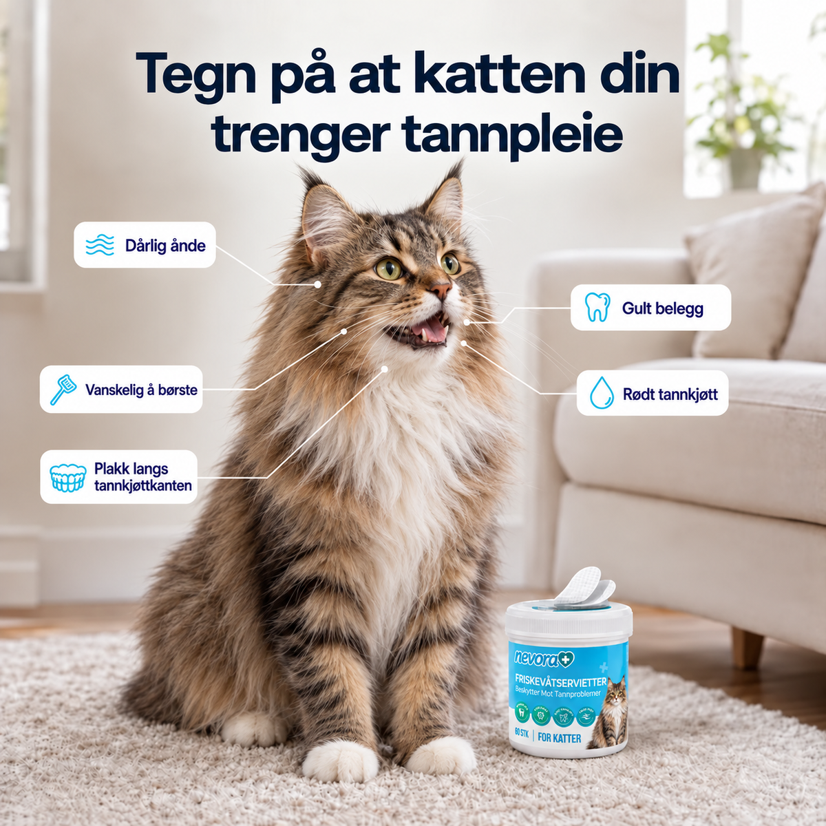 FreshWipes Plakkfjerningssett