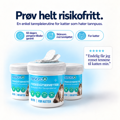 FreshWipes Plakkfjerningssett