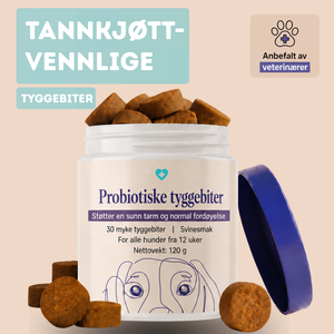 Probiotiske Tyggebiter – for tarm- og fordøyelseshelse