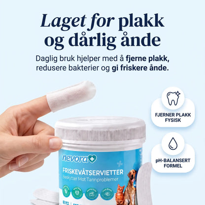FreshWipes Plakkfjerningssett
